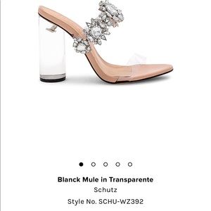 Schutz shoes